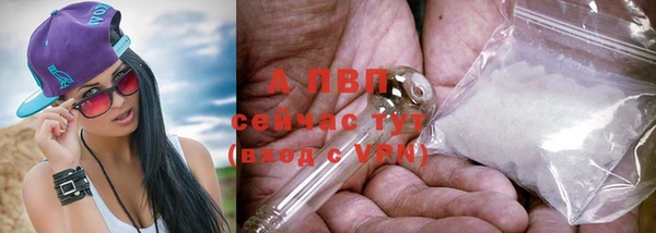 прущая мука Вязники