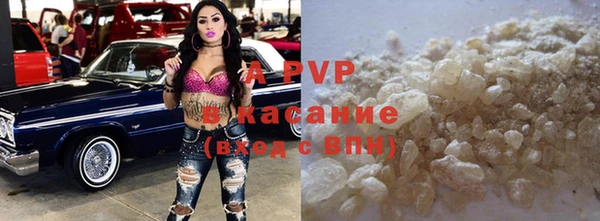 стафф Вязьма